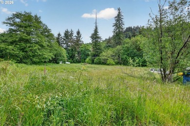 Rare opportunity to own two separate legal building lots - photo 20