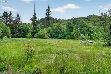 Rare opportunity to own two separate legal building lots - photo 21