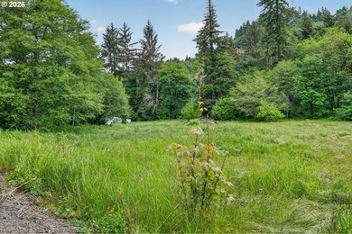 Rare opportunity to own two separate legal building lots - photo 22