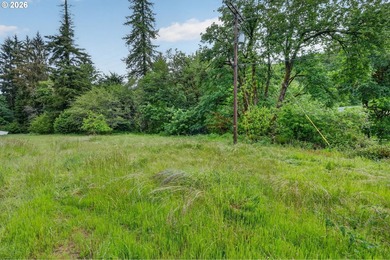 Rare opportunity to own two separate legal building lots - photo 23