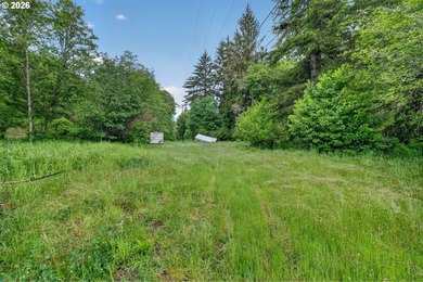 Rare opportunity to own two separate legal building lots - photo 24