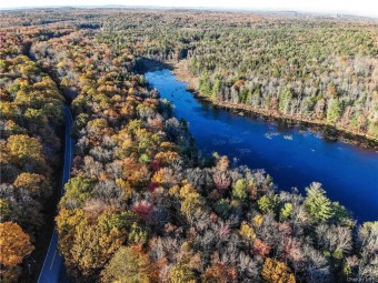 Melody Lake Acreage For Sale in Thompson New York