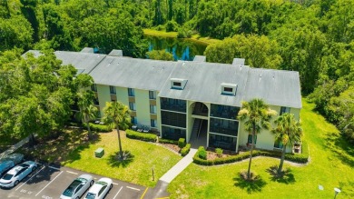Lake Condo For Sale in Tarpon Springs, Florida