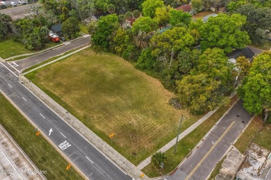 Prime CCG-2 Commercial Opportunity in Jacksonville! Position - photo 11