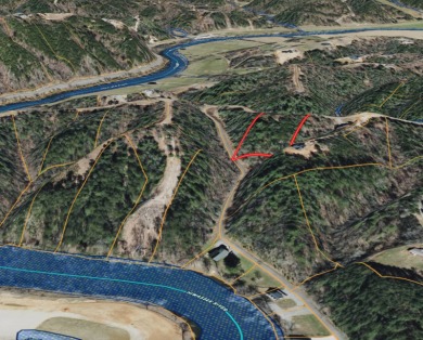Lake Lot For Sale in Murphy, North Carolina