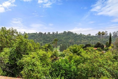 524 Church Hill Rd - photo 49