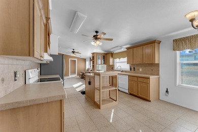 Welcome to 230 Beaver St in Buchanan Lake Village, Tow, TX! This - photo 8