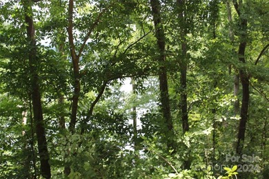 Welcome to your dream property! Nestled along the pristine - photo 23