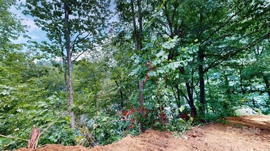 Welcome to your dream property! Nestled along the pristine - photo 26