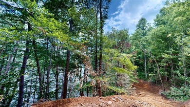 Welcome to your dream property! Nestled along the pristine - photo 28