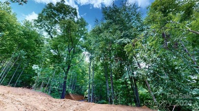 Welcome to your dream property! Nestled along the pristine - photo 29