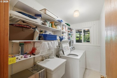 This beautifully maintained 1966 mid-century split-level home is - photo 29