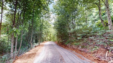 Welcome to your dream property! Nestled along the pristine - photo 31