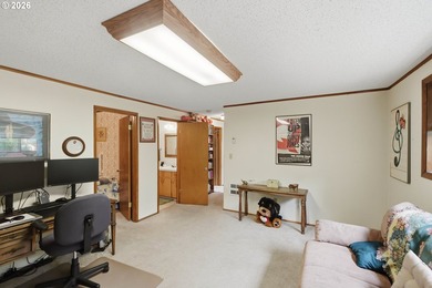 This beautifully maintained 1966 mid-century split-level home is - photo 31