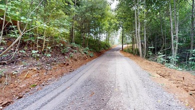 Welcome to your dream property! Nestled along the pristine - photo 32