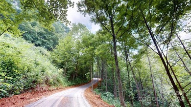 Welcome to your dream property! Nestled along the pristine - photo 35
