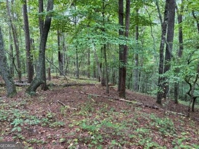 (private lake, pond, creek) Acreage For Sale in Douglasville Georgia