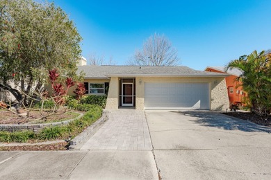 (private lake, pond, coastal) Home For Sale in Palm Harbor Florida