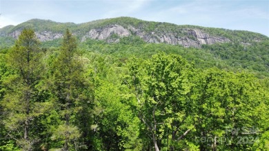 Lake Lot For Sale in Lake Lure, North Carolina