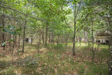 Whether you're looking to hunt, fish, relax, or simply escape - photo 13