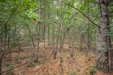 Whether you're looking to hunt, fish, relax, or simply escape - photo 17