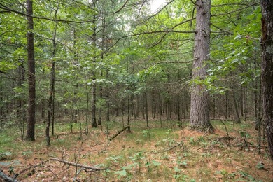 Whether you're looking to hunt, fish, relax, or simply escape - photo 18