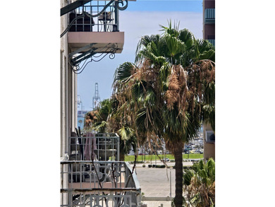 Experience downtown energy and coastal beach living at its - photo 19