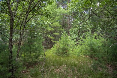 Whether you're looking to hunt, fish, relax, or simply escape - photo 23