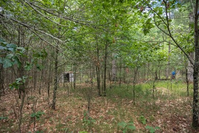 Whether you're looking to hunt, fish, relax, or simply escape - photo 24