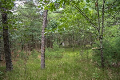 Whether you're looking to hunt, fish, relax, or simply escape - photo 25