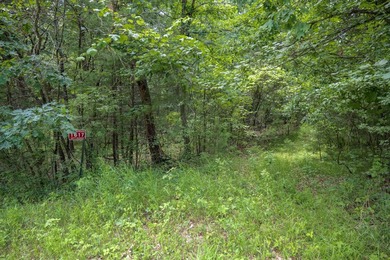 Whether you're looking to hunt, fish, relax, or simply escape - photo 28