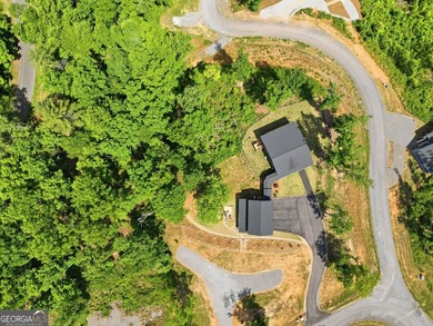 Experience mountain living at its finest in this stunning custom - photo 42