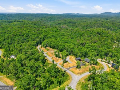 Experience mountain living at its finest in this stunning custom - photo 45