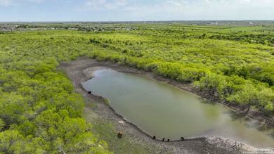 183 plus acres in the Marion ETJ ready for development! Property - photo 9