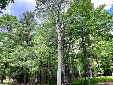 2.16 Acre Build-Ready Lot near Eagle River! Tucked away in a - photo 11
