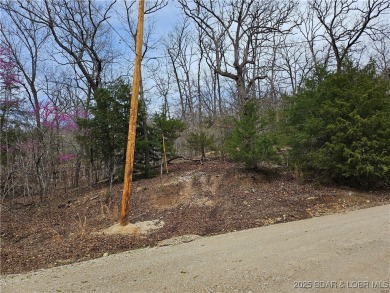 Lake Lot For Sale in Roach, Missouri