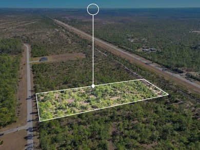 Lake Weohyakapka Lot For Sale in Lake Wales Florida