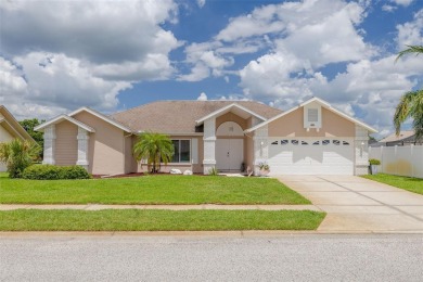 Lake Home For Sale in New Port Richey, Florida