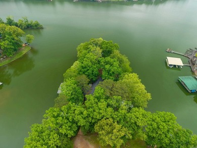 Stunning Point Lot on Lake Catherine with 619 Ft of Shoreline - photo 49