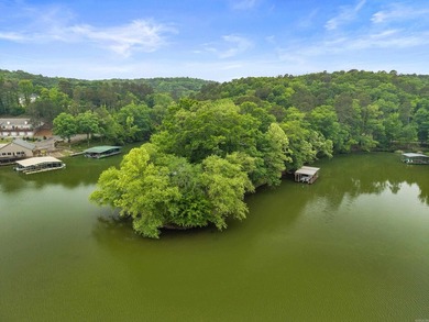 Stunning Point Lot on Lake Catherine with 619 Ft of Shoreline - photo 50