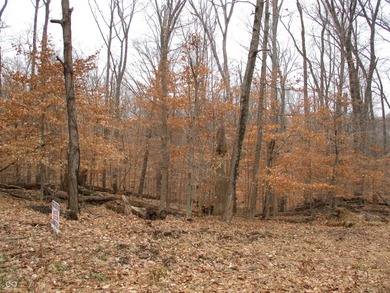 (private lake, pond, creek) Lot For Sale in Martinsville Indiana