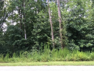 Lake Hartwell Lot For Sale in Westminster South Carolina