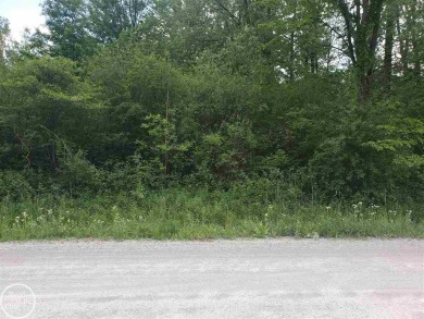 Lake Saint Clair Acreage For Sale in Fair Haven Michigan