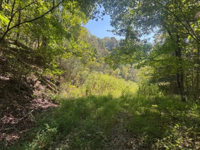 Lake Acreage For Sale in Burkesville, Kentucky