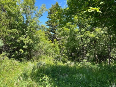 Bear Lake Lot For Sale in Garden City Utah