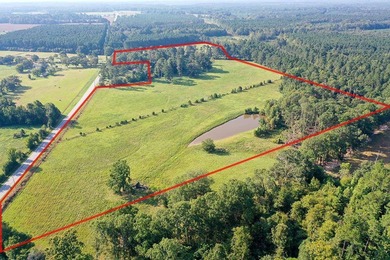(private lake, pond, coastal) Acreage For Sale in Saluda South Carolina