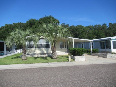 (private lake, pond, creek) Home For Sale in Zephyrhills Florida