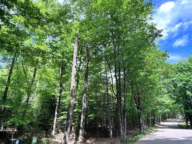 Half an Acre Lot near Eagle River! Tucked away in a peaceful - photo 11