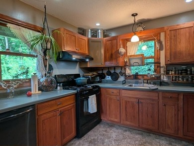 Private A-frame cabin on 3.42 acres + Bear Creek! Located in - photo 18