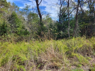 Lake Acreage Sale Pending in Edwards, Missouri